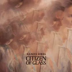Album cover for Citizen of Glass
