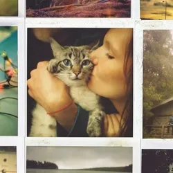 Cover for My Friends All Died in a Plane Crash